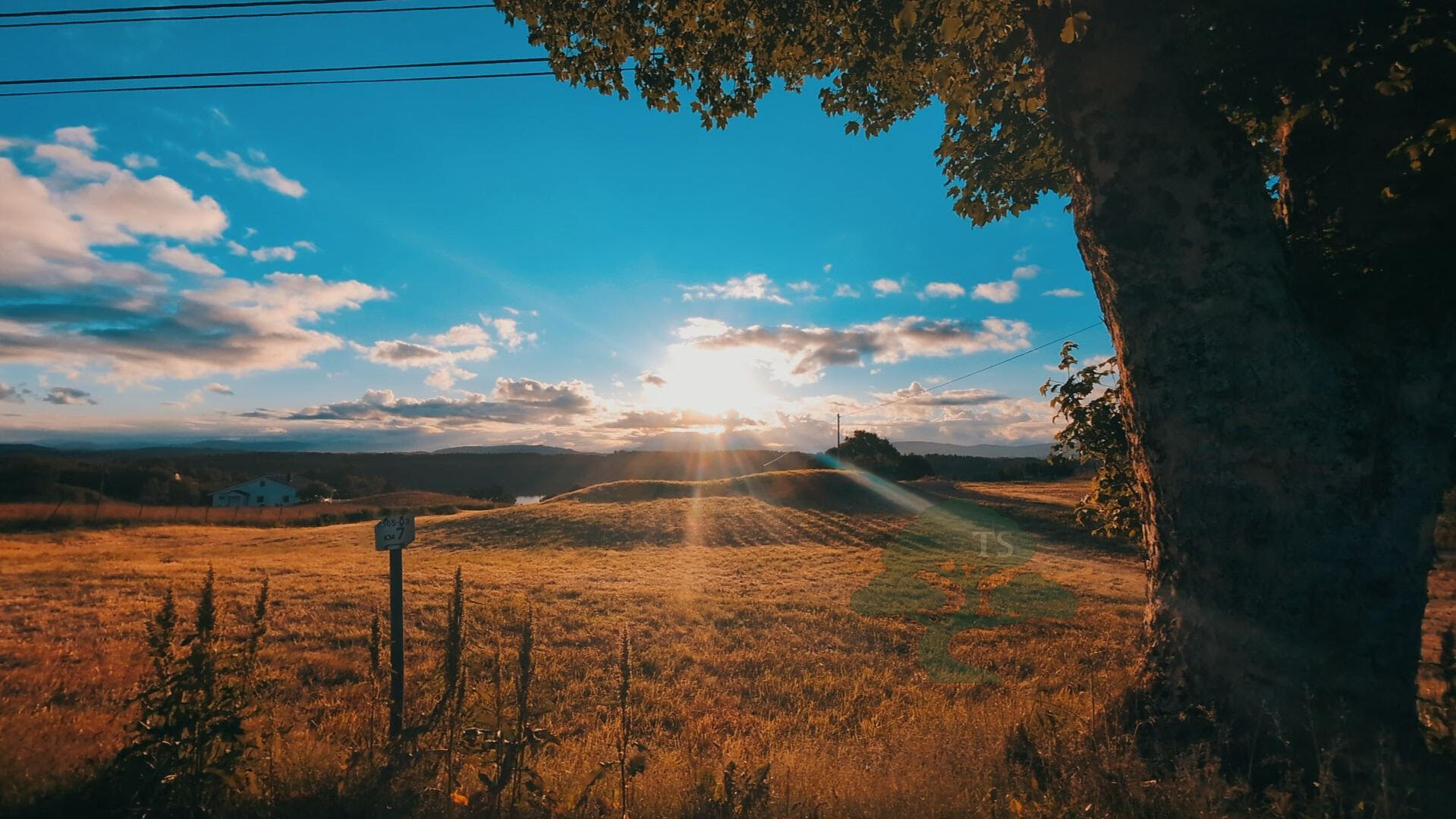 Soloppgang Foto: Jan Ove Brandsæter. Ny dag, solen står opp, og lyser over et jorde med gress. Blå himmel bak. Et gammelt tre står til høyre i bildet.